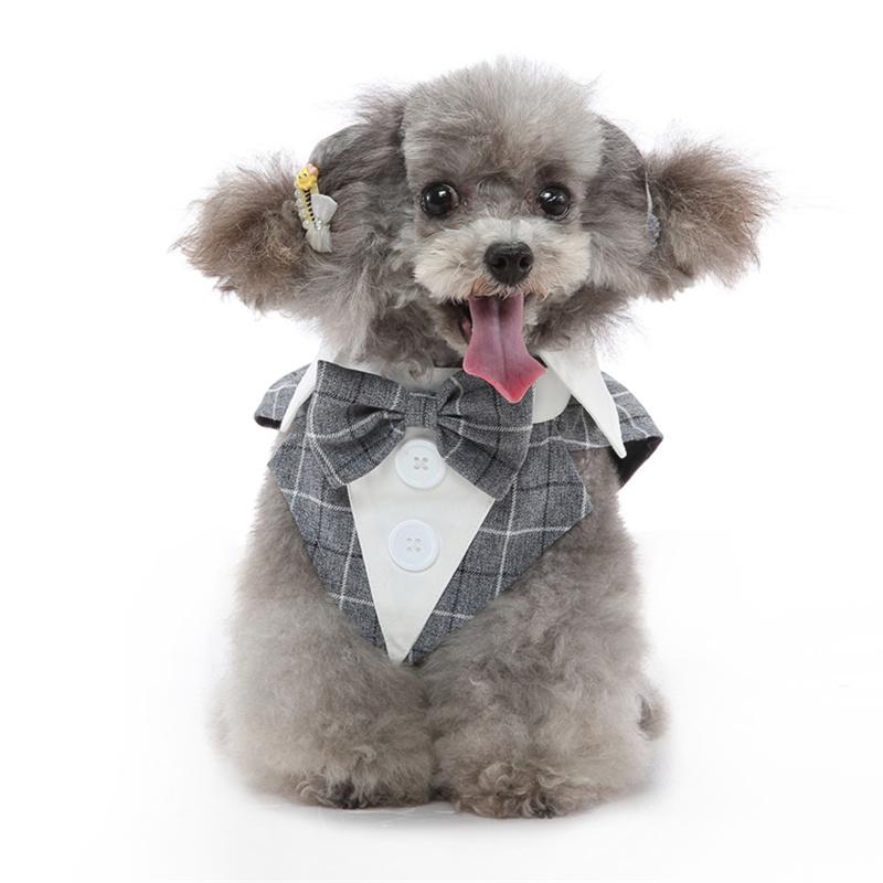 Luxurious Male Pet Costume for Small Dogs High Quality Puppy Dog Tailcoat Suit Dress Chihuahua Maltese Mascotas Wedding Clothing