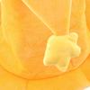Pumpkin Halloween Hat Plush Devil Cap Portable Halloween Witch Wizard Hat  Children