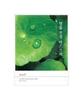 Chaebigonggan Centella Asiatica Mask Pack (30+1 Sheets)