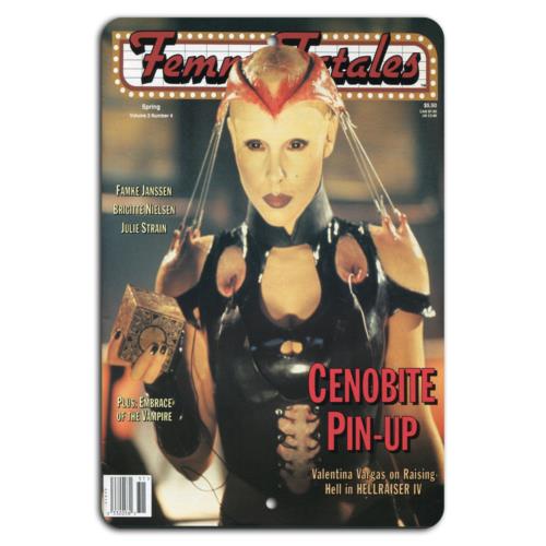 

DORA Tin Sign Cenobite PinUp Femme Fatales Vintage Horror Magazine Sign Aluminum 20x30cm（7.8x11.8inch）