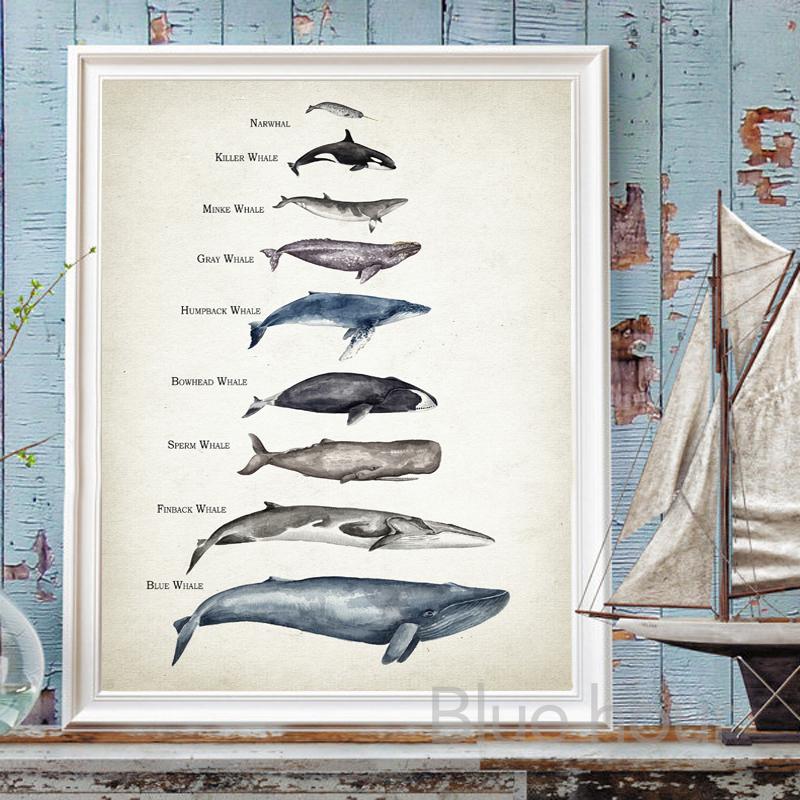 Sharks of The World Art Canvas Prints Great White Shark Poster Mako Hammerhead Tiger Bull Basking Whale Painting Bathroom Decor
