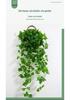 Handmade Willow Woven Wall Hanging Flower Basket Pot