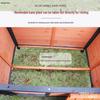 Rainproof Wooden Dog House - Large, Sun-Protected, Solid Wood Pet Shelter for All-Season Indoor/Outdoor Use