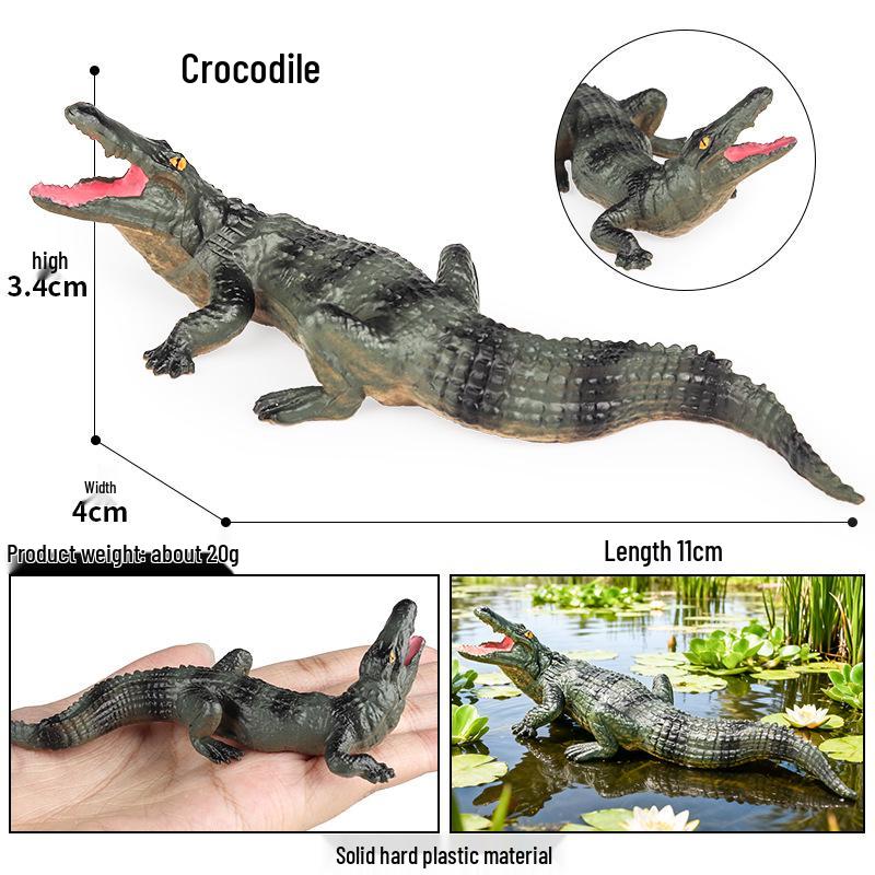 Children s Cognitive Gift: Nile Crocodile, Wild Boar, Caiman, & Chinese Alligator Animal Models