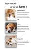 Hund & Katze Puzzle Schnüffelmatte Slow Feeder: Dekompressionsnapf für kleine, mittlere und große Haustiere