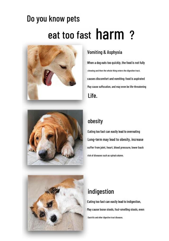 Hund & Katze Puzzle Schnüffelmatte Slow Feeder: Dekompressionsnapf für kleine, mittlere und große Haustiere