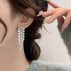 Long Tassel Zircon Drop Earrings for Women Dangle Earring Party Wedding Jewelry