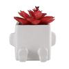 Succulent Planter Cute Ceramic Succulent Plant Pot for Indoor Outdoor Home Decor