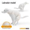 Labrador Guide & Police Dog Model - Children's Cognitive Toy Ornament