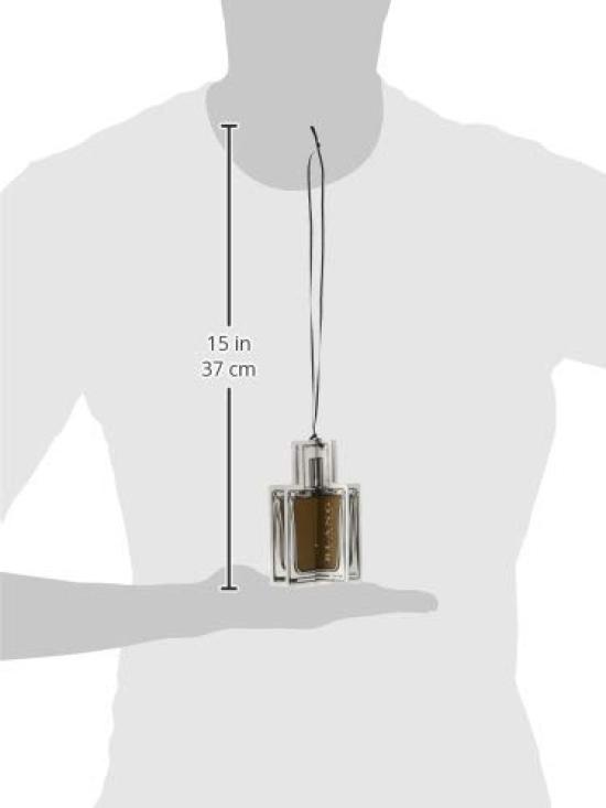 Carmate Blang 3D Hanging Perfume a powerful hanging air freshener for cars and rooms by Highly concentrated fragrance for and and sexy H1452 (Carmate)