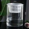 Hydroponic Glass Cylinder Vase for Pothos & Peace Lily - Transparent Water Culture Container with Free Shipping.