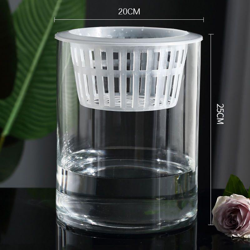 Hydroponic Glass Cylinder Vase for Pothos & Peace Lily - Transparent Water Culture Container with Free Shipping.