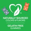 21st Century, Zoo Friends, Multi Gummi, Fruit, 60 Gummies