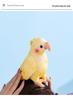 Cross-Border Yellow Parrot Plush Toy - Cute, Comforting Doll and Hot-Selling Animal Plush