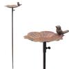 Garden Birdbath with a Bird On a Leaf