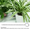 10 Inches Soil Sampler Probe Circular Handle Easy to Use Portable Stainless Steel Soil Probe for Plants Garden Farm