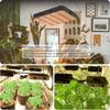 LED Quantum Board Plant Light: High-Efficiency Full Spectrum for Indoor Greenhouses