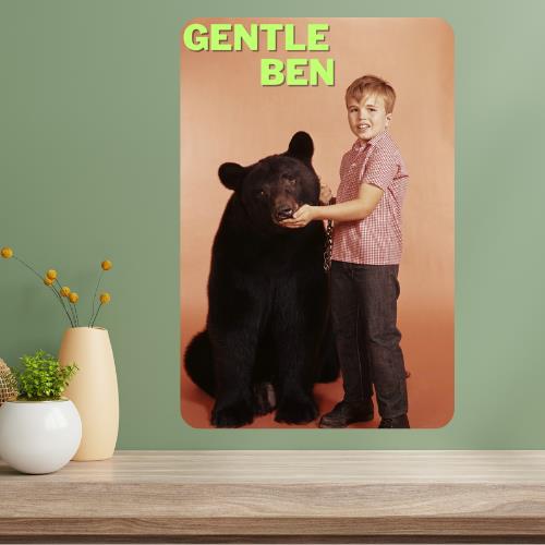 Gentle Ben Classic TV Show Metal Poster Sign 20x30cm（7.8x11.8inch）