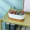 Facecolor Oval Cactus Set of Flower Succulent Ceramic Succulent Mini Ceramic Cactus Planter Small Planter Pots for Mini Plants with Drain Holes and
