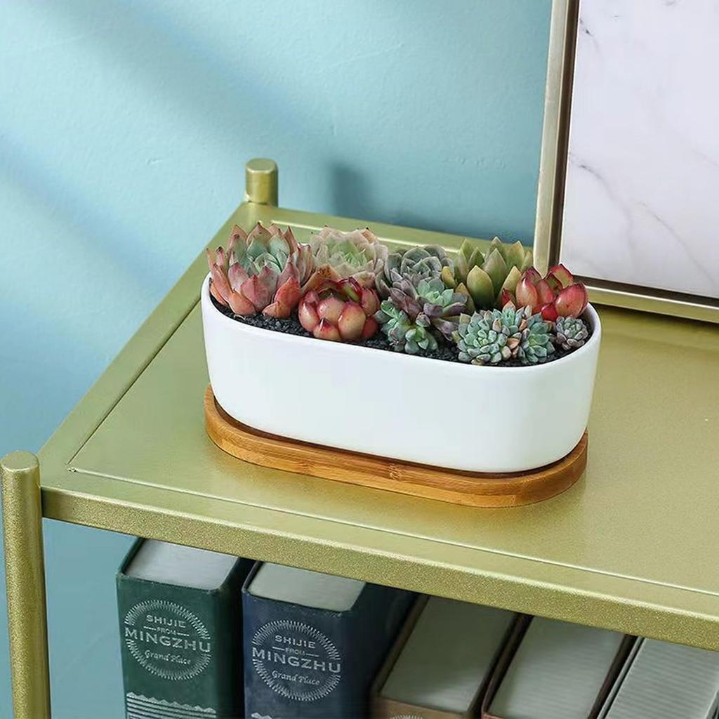 Facecolor Oval Cactus Set of Flower Succulent Ceramic Succulent Mini Ceramic Cactus Planter Small Planter Pots for Mini Plants with Drain Holes and