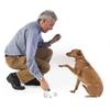 Pet Dog Trainer Clicker with Whistle & Key Ring - Versatile 2-in-1 Puppy Training Tool for Obedience Commands