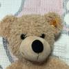 [USED] Steiff Teddy Bear Finn 40cm (Used)