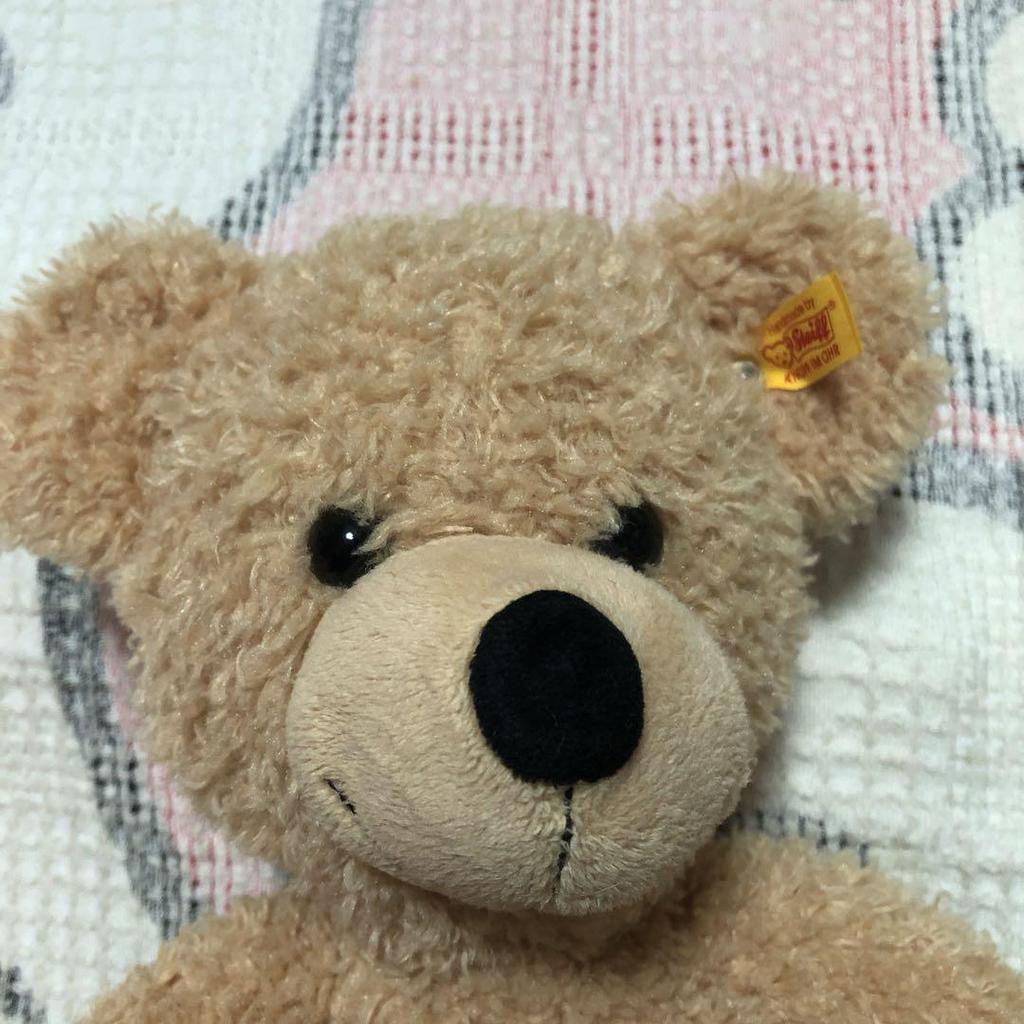 [USED] Steiff Teddy Bear Finn 40cm (Used)