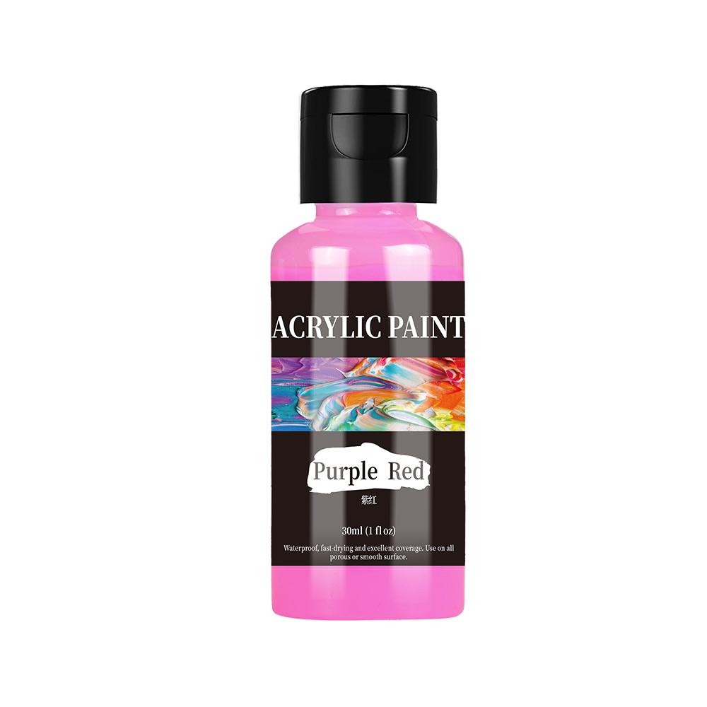 30ml 24 Colour Acrylic Paint Colors Bottled Acrylic Paint Set Paint For Fabric Clothing Painting Rich For Leather DIY Pigment