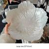 ZISIZ Crystal Glass Fruit & Snack Plate