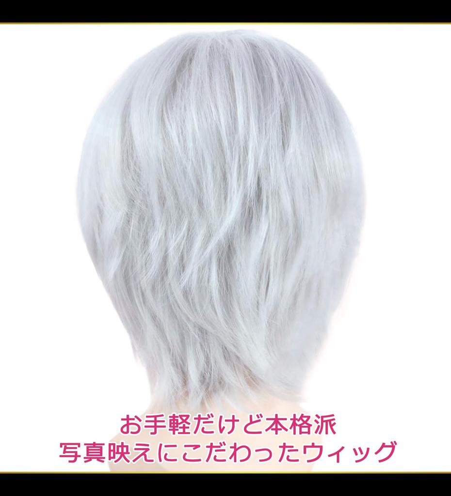 CaseEden Cosplay Wig, Premium Short Hair, 30cm, Heat-Resistant, Silver, WIG6041