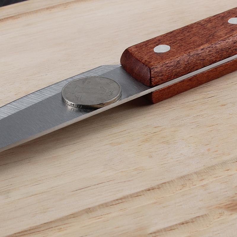 Fiskekniv i rustfritt stål Kjøkken Utbeningskniver Sushi Kniv Fruktkutter