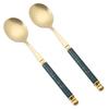 2Pcs Imitation Ceramic Handle Spoon Stainless Steel Soup Dessert Spoon (BPA Free, No FDA Certificate)