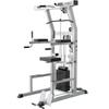 YANBO Multifunctional Indoor Pull-up Bar & Dip Station