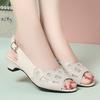 Women's Sandals Summer Mid-heel Mesh Shoes Female Large Size Formal Breathable Sandals Women