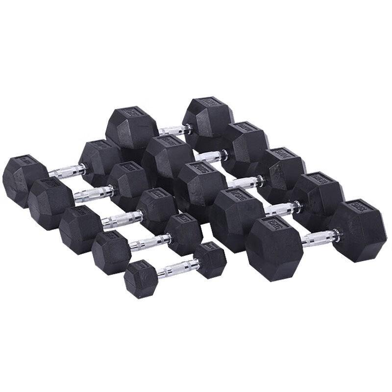 San Hua Lang 30kg Hex Dumbbell