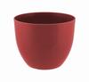 Orchid Flowerpot With Gloss
