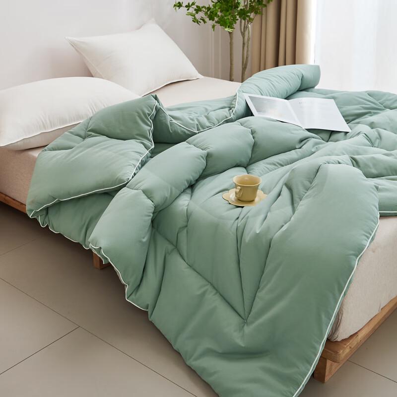 Qixiai Minimalist Xinjiang Cotton Winter Quilt