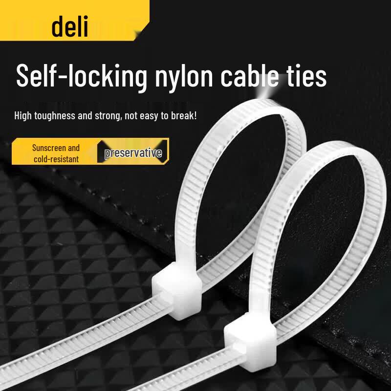 Deli Self-locking Nylon Cable Ties