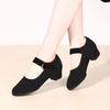 Professional Latin Dance Shoes Women Softsoled Ballroom Dance Shoes Black with Heels Teacher Body Training Shoes Square Dance Shoes
