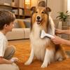 Köpek – Köpek bakım ürünleri
