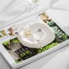Irregular Jewelry Storage Tray Ceramic Storage Plate Home Decoration Jewelry Display Rack  Food