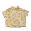 Little Sun Kids' Summer Cotton Lapel Shirt - Boys' Short-Sleeve Baby Top