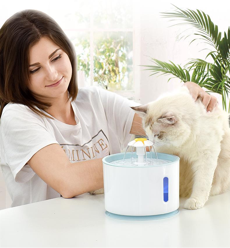 Hot Selling Smart Pet Water Dispenser & Feeder for Cats and Dogs