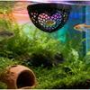 3-in-1 Fish Shrimp Hideout Shelter 3D Printing Fish Rest Area  Aquarium Use
