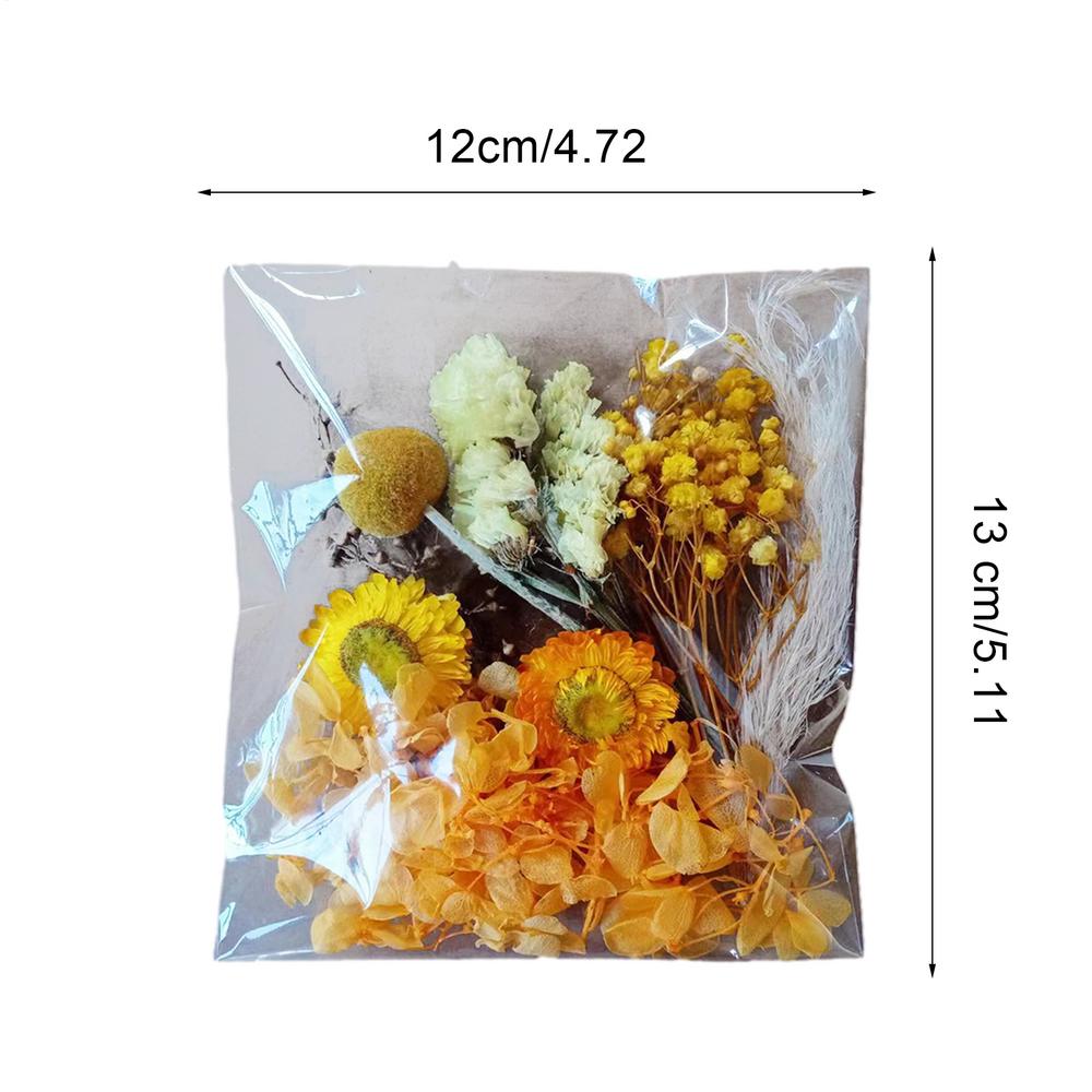 Natural Plants Dried StarrySky Flowers Preserved Materials Kit Epoxy Resin Candles Soap DIY Floral Materials Set Dried Flowers