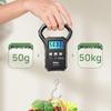 Meilen 50KG Portable Electronic Scale (CN Version)