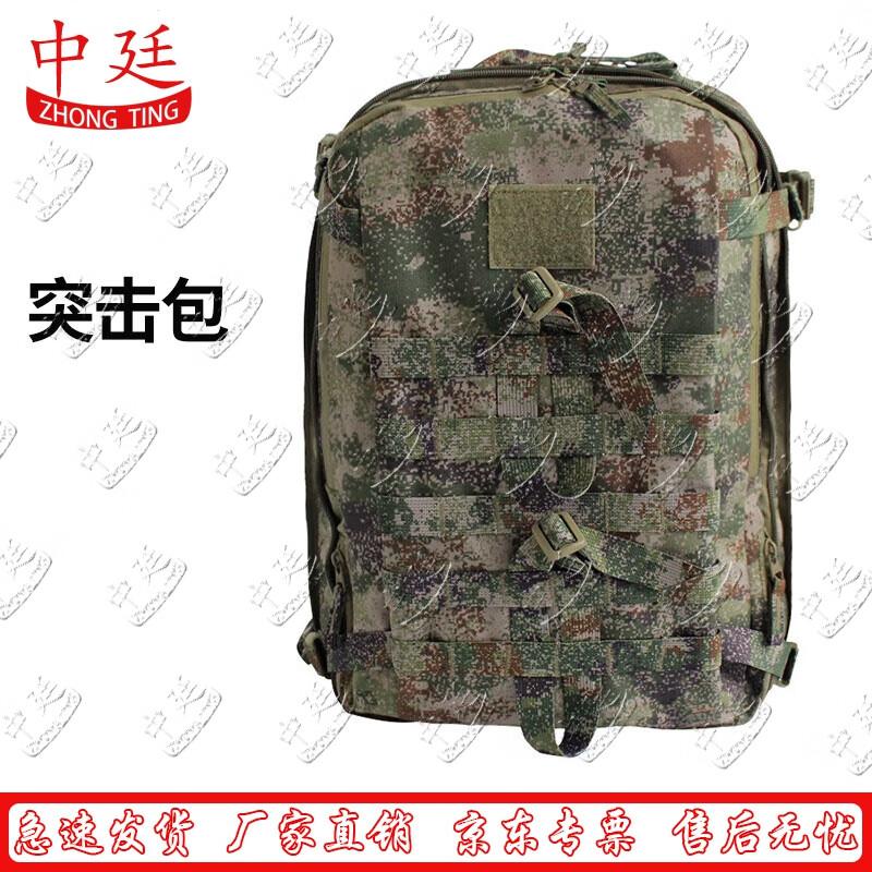 Tactical Camouflage Assault Backpack