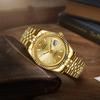 BUREI Men's Automatic Mechanical Watch, Waterproof, Analog, Popular for Business, Date Display, Gold, Stylish, Simple, Luminous Watch