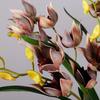 with Leaves Artificial Orchid Flower Branch Artificial Cymbidium Faux Flowers  Wedding Decor