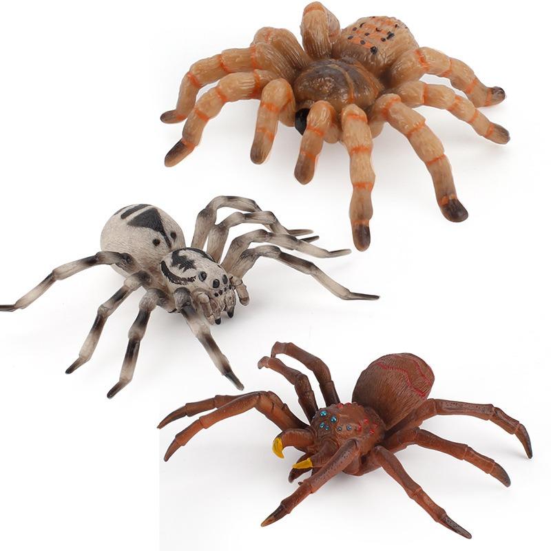 Lebensechte Spinnen Kühlschrankmagnete Weihnachtsgeschenke für Kinder Heimdeko Magnetische Kühlschrankaufkleber Foto Wandaufkleber